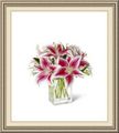 Lark Street Flower Market Incorporated, 264 Lark St, Albany, NY 12210, (518)_427-9466